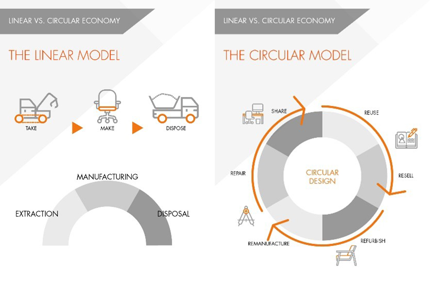 Linear vs circular models.jpg