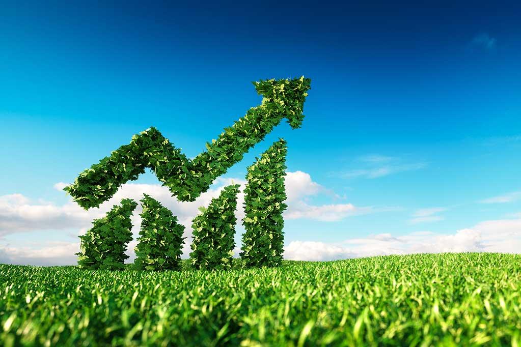 Sustainability