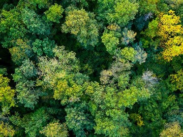 20211118_sustainability_shutterstock_1833381685.jpg