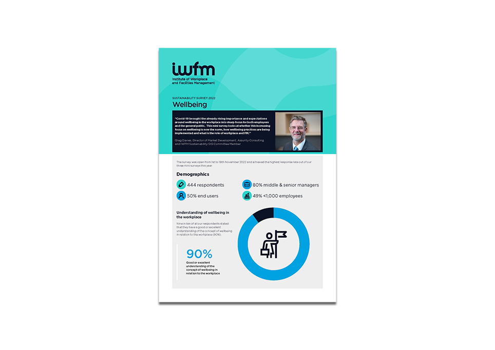 Sustainability Infographic wellbeing