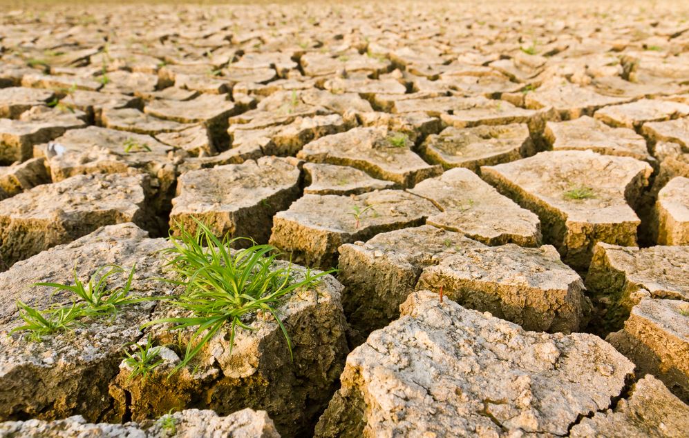 Climate change